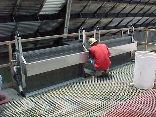 Selvage Screen Installation